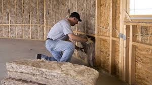 Best Attic Insulation Installation  in Nogales, AZ